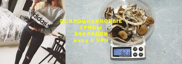 МДПВ Арсеньев