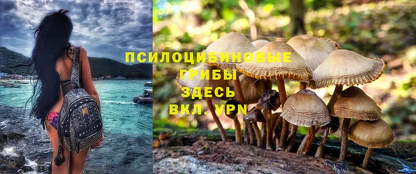прущая мука Снежинск