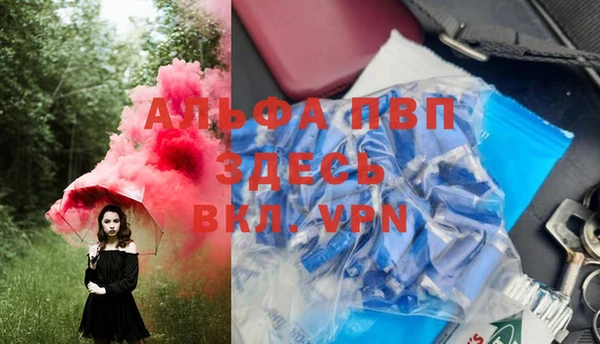хмурый Аркадак