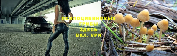 герыч Балахна