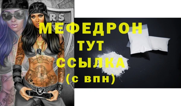 хмурый Аркадак