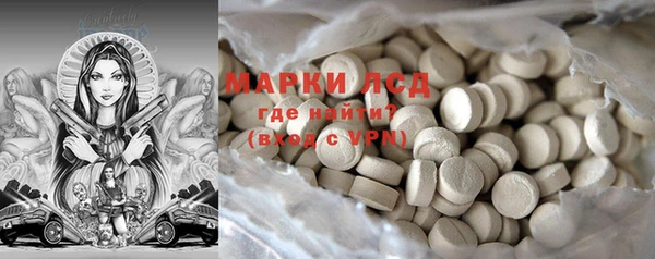 хмурый Аркадак