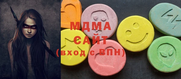 хмурый Аркадак