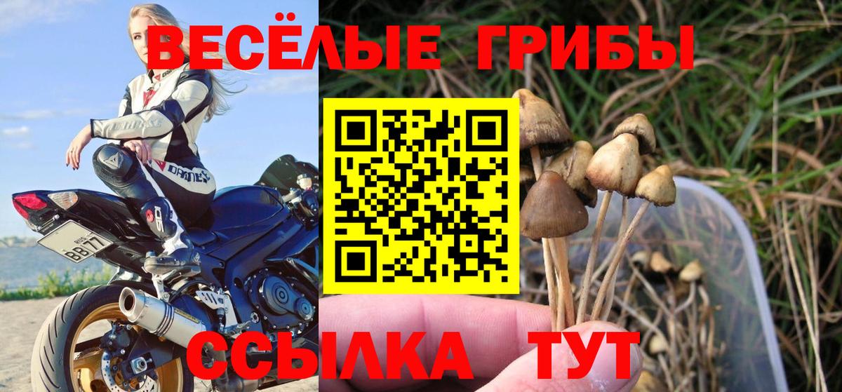 Псилоцибиновые грибы GOLDEN TEACHER Радужный